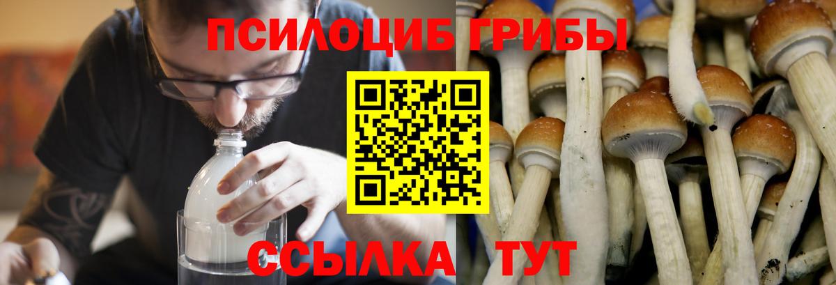 Галлюциногенные грибы Psilocybe  Вход с VPN  Сургут  Псилоцибиновые грибы MAGIC MUSHROOMS 